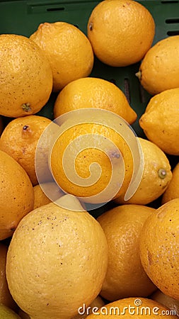 Lemons Stock Photo