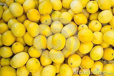 Lemons Stock Photo