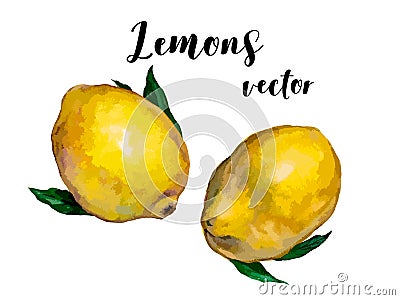 The lemons set for your design. Vector illustration. Cartoon Illustration