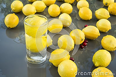 Lemons & Cranberrys Stock Photo