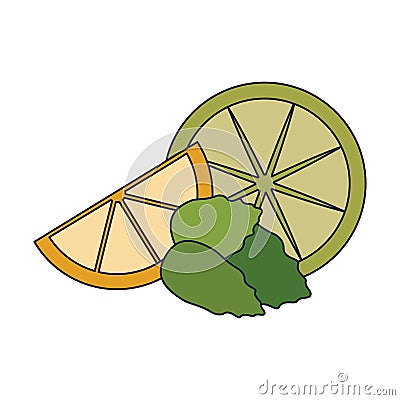 Lemons slices and peppermint Vector Illustration