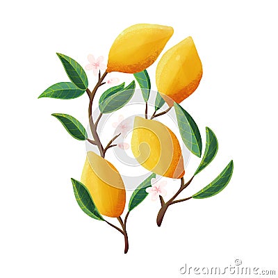 Lemons on tree branches. Isolated tropical summer fruit, on white, abstract colorful illustration Cartoon Illustration