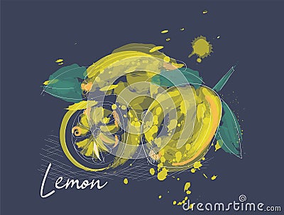 Lemons white line drawn on a dark background. Vector drawing of fruits. Abstract spots. Colored lemons logo. Vector Illustration