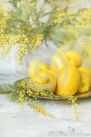 Lemons, yellow spring mimosa flowers and a decanter of lemon drink. Spring fresh still life. Stock Photo