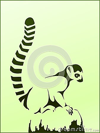 Lemur catta Stock Photo