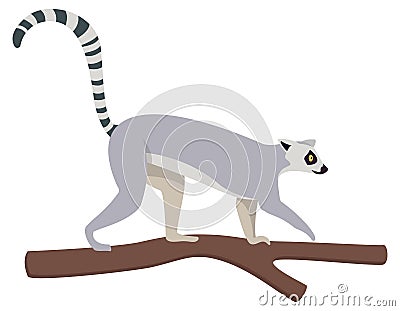 Lemur climbing tree Stock Photo