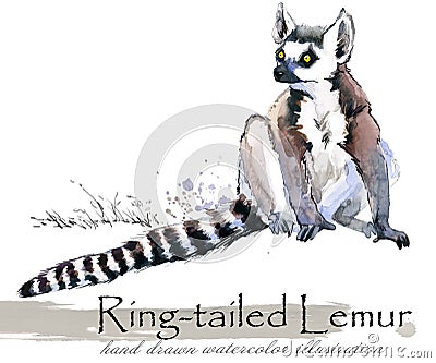 Lemur hand drawn watercolor illustration Cartoon Illustration