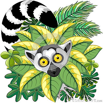 Lemur Ring Tailed a.k.a. Lemur Catta, or Maky, endemic Primate of Madagascar Island, in Green Leaves Jungle Background Vector Illustration