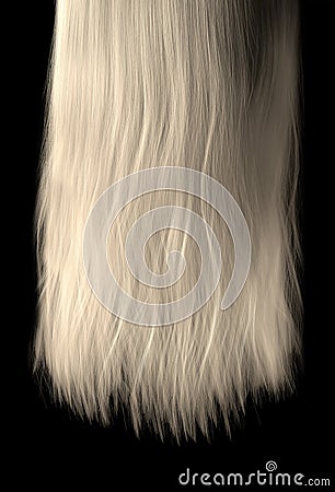 Length Of Hair Stock Photo