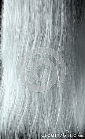 Length Of Hair Stock Photo