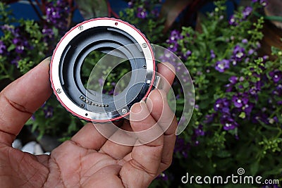 The lens adapter for macro with flowers. Stock Photo