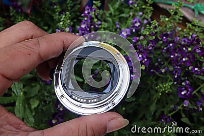 The lens adapter for macro with flowers. Stock Photo