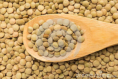 Lentil legume. Grains in wooden spoon. Close up. Stock Photo