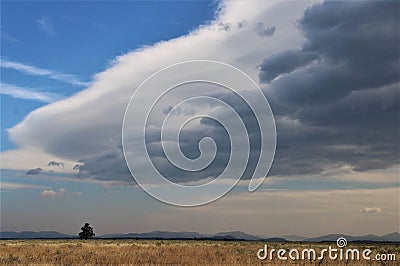 Lenticular Clouds Jackson Hole Valley Stock Photo