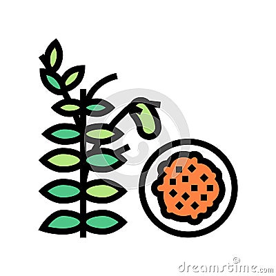 lentils groat color icon vector illustration Vector Illustration