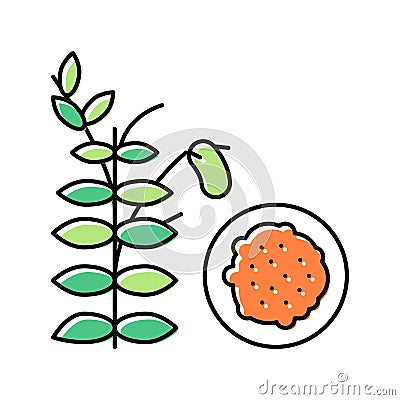 lentils groat color icon vector illustration Vector Illustration