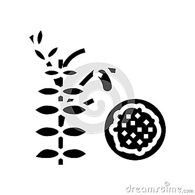 lentils groat glyph icon vector illustration Vector Illustration