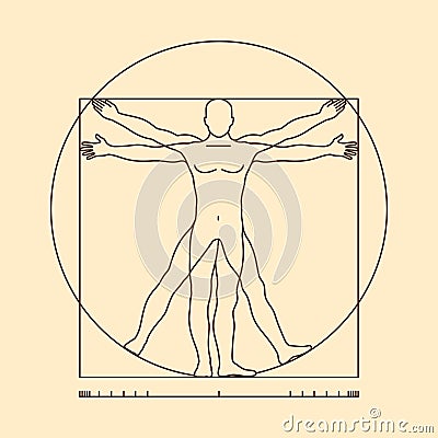 Leonardo da vinci vitruvian man vector illustration Vector Illustration