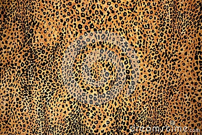 Leopard Animal Print Texture Stock Photo