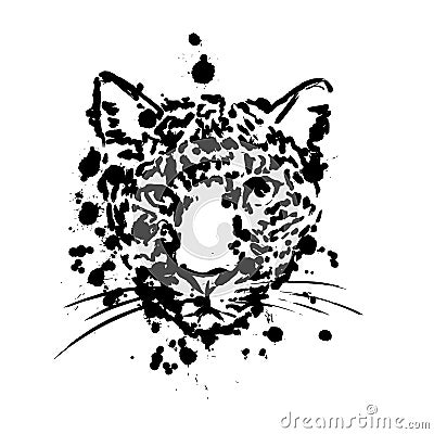 Leopard black, brush strokes spray paints, leopard head face, African animal Vector Illustration