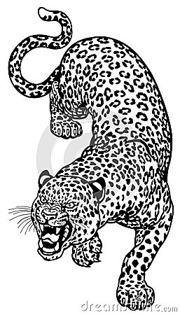 Leopard black white Vector Illustration