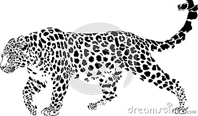 Leopard Vector Illustration