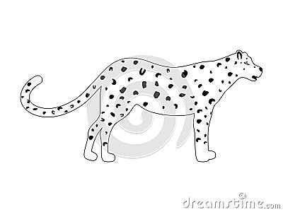 Leopard black and white vector. Wild animal print illustration isolated Vector Illustration