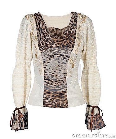 Leopard blouse Stock Photo