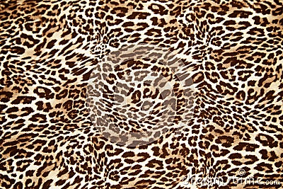 Leopard effect, fabric pattern, background sample. Leopard print seamless background. Stock Photo