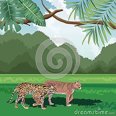 Leopard felines tropical fauna and flora landscape Vector Illustration