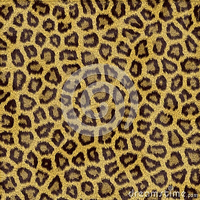 Leopard Fur Stock Photo