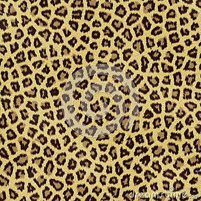 Leopard fur Stock Photo