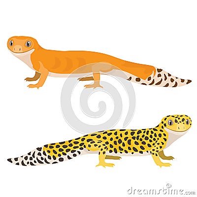 Leopard gecko vector illustration. Cartoon spotted gecko Vector Illustration