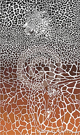 Leopard and Giraffe black and braun background Vector Illustration