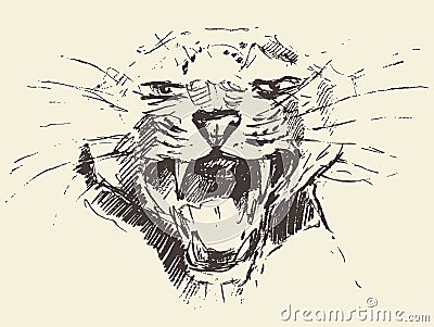 Leopard head attacking pose style drawn sketch Vector Illustration