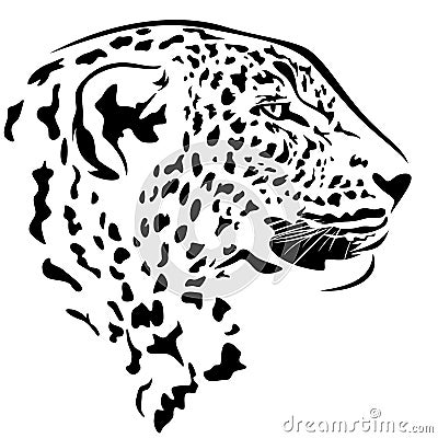 Leopard head Vector Illustration