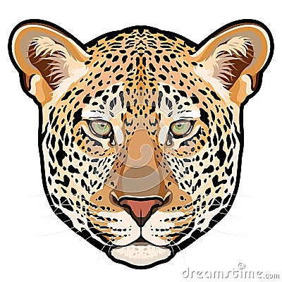 Leopard head in vector, Panthera pardus, big cat, wild animal Vector Illustration