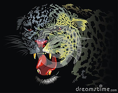 Leopard from the jungle Vector Illustration