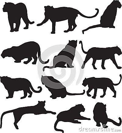 Leopard or panther silhouette contour Vector Illustration