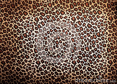 Leopard pattern Stock Photo