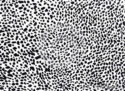 Leopard pattern Stock Photo