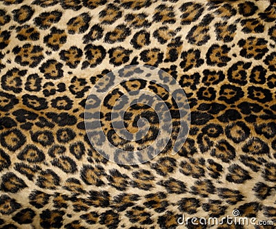 Leopard print 2 Stock Photo