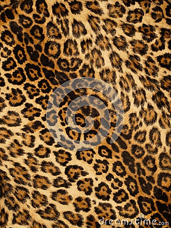 Leopard print Stock Photo