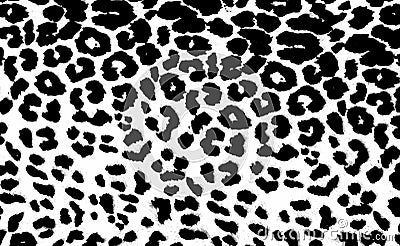 Leopard Print Stock Photo