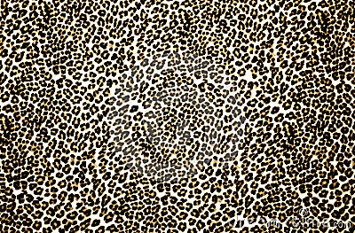 Leopard Print Stock Photo