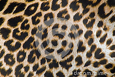 Leopard print fabric texture Stock Photo