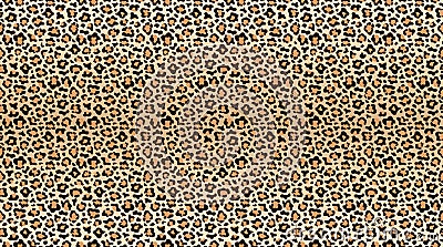 Leopard print pattern. Seamless pattern of leopard skin. Fashionable cheetah fur texture Vector Illustration