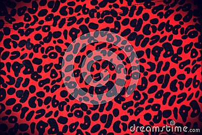 Leopard print vintage banner Stock Photo