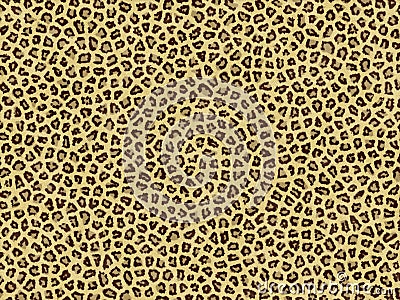 Leopard skin Stock Photo