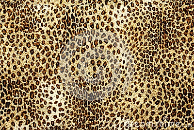 Leopard skin pattern texture. Leopard texture background. Animal print. Leopard fur texture. Stock Photo